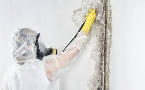 Hermiston, OR Mold Removal Services Company